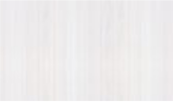 Fehér fenyő - Greko