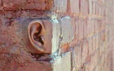 A falfül: Miben hasonlít a sivatagi róka és a beltéri ajtó?