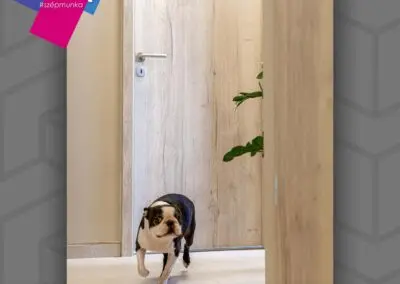 Basic CPL Kisbér beltéri ajtó fehér tölgy színben, nyíló és toló kivitelben, Budapest